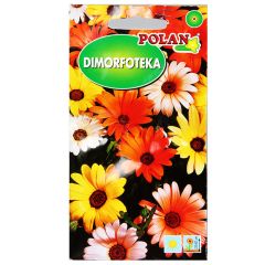 Sēklas Dimorfotēka (lietuspuķe) 1g