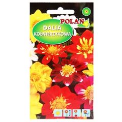 Sēklas Dālijas Colloratte Dandy 2g