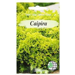Sēklas Salāti Caipira F1