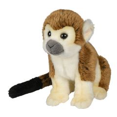 Mīkstā rot. Squirrel Monkey