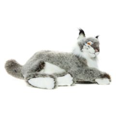 Mīkstā rot.  Lūsis 40cm