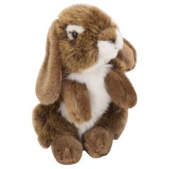 Mīkstā rot.Zaķis vidējs