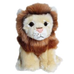 Mīkstā rot.Lauvēns mazs