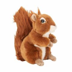 Mīkstā rot. Vāvere