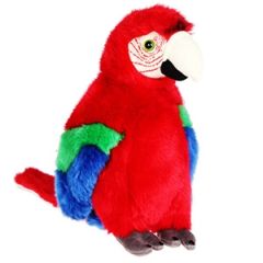 Mīkstā rot.Papagailis