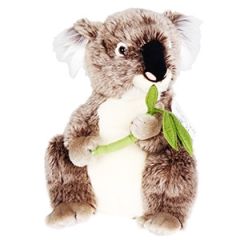 Mīkstā rot.Koala