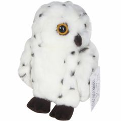 Mīkstā rot.Pūce balta