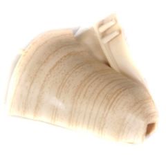 Ārējais st.DOLLKEN SLK50 W-165