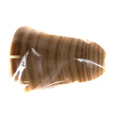 Ārējais st.DOLLKEN SLK50 W-177