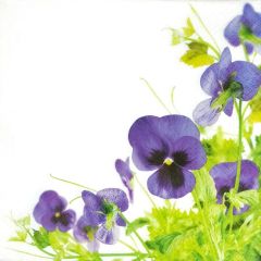 Salvetes 33x33cm Pansies Frame