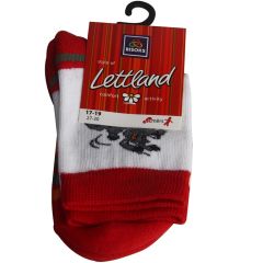 Zeķes bērnu frote 17-19 krāsainas 32117