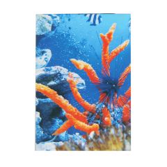 Blociņš A7/50lp rūtiņu