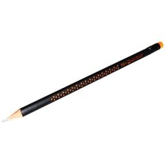 Zīmulis parastais ar dzēšgumiju