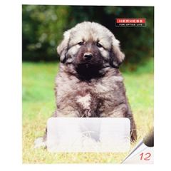 Burtnīca līniju 12lpp.