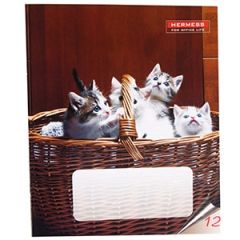 Burtnīca līniju 12lpp.