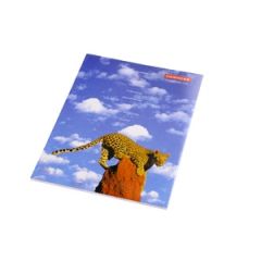 Klade st. 48 rūtiņu, Flower