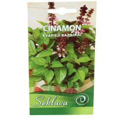Sēklas Baziliks Cinamon 1 grupa