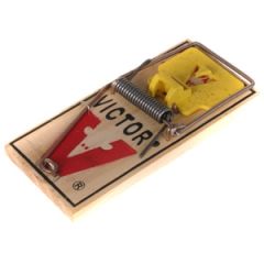 Lamatas pelēm koka Victor 1gab.