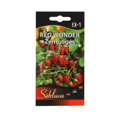 Sēklas Zemenes Red Wonder