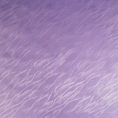 Žalūzija rullo 2010 Woda 100x165