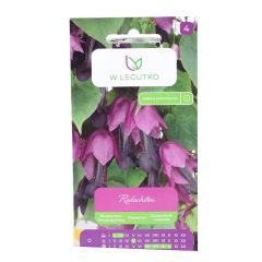 Rodohitons asinssarkanais 6sēklas