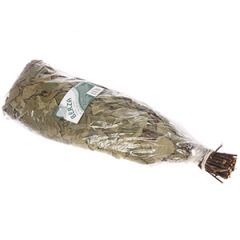 Pirts slota bērza ar eikaliptu